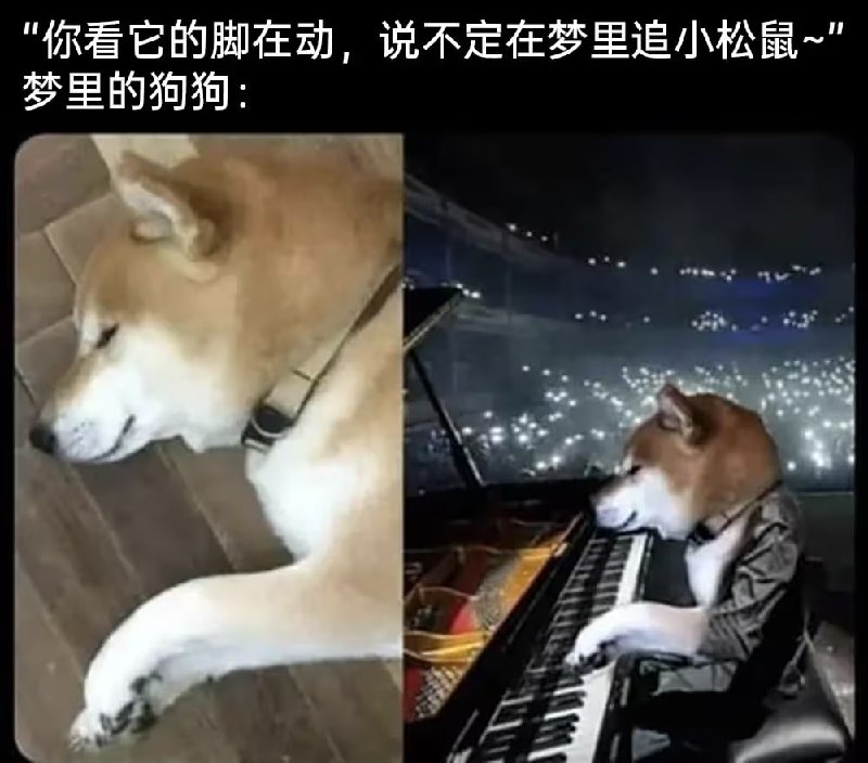 via 8号沙雕网友