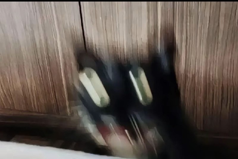 via 8号沙雕网友via 8号沙雕网友