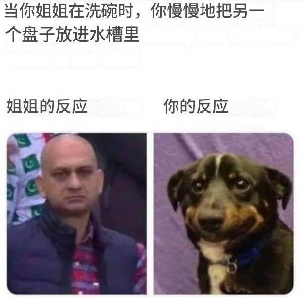 from 什麼都來點 via DECADE