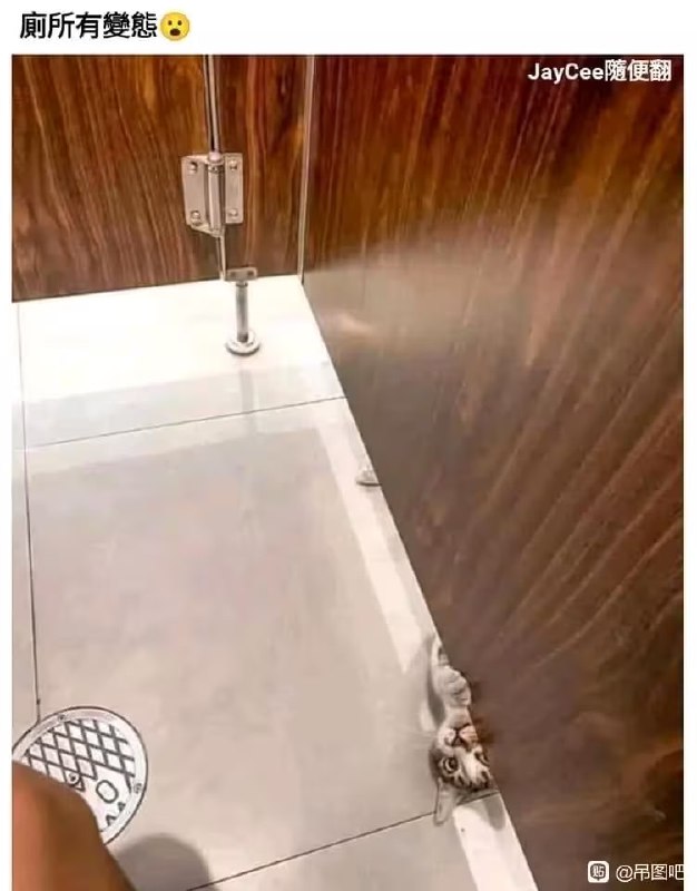 via 7号沙雕网友