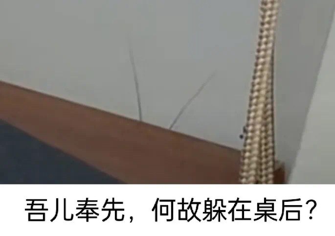 多吃薯条