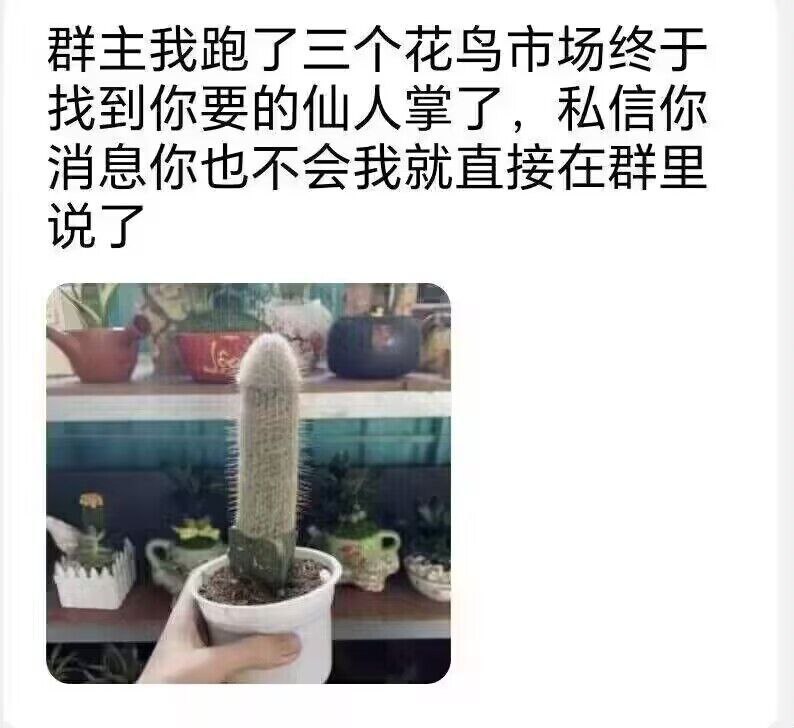 from 💈就在这理发店💈