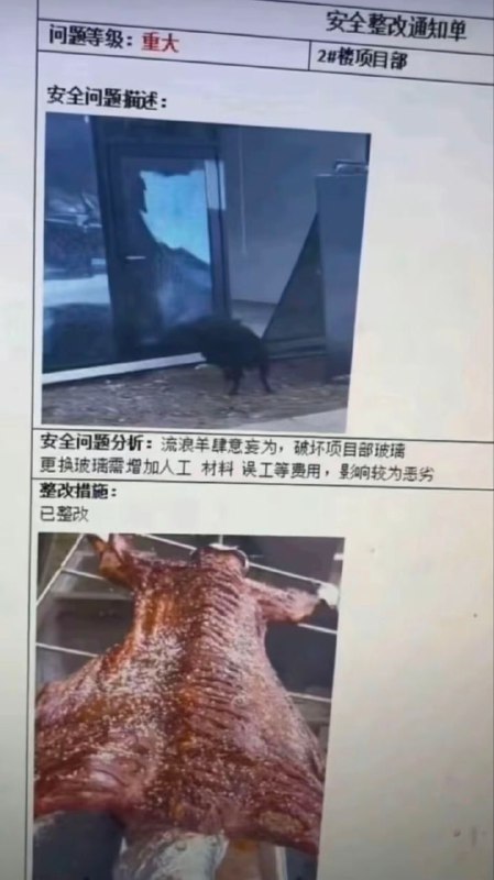 我都不敢想象这得有多好吃