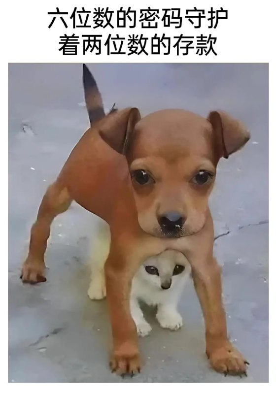 via 8号沙雕网友