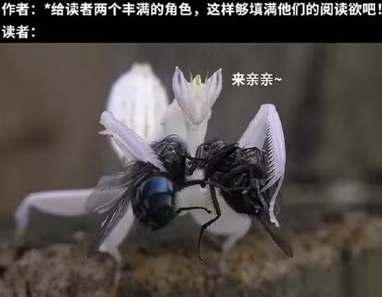 via 6号沙雕网友