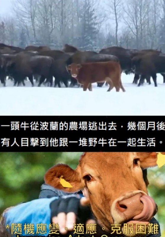 via 每天只睡23h