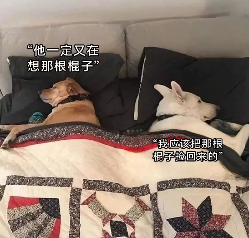via 6号沙雕网友