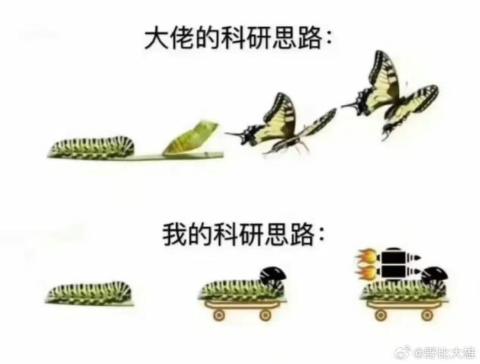 大佬