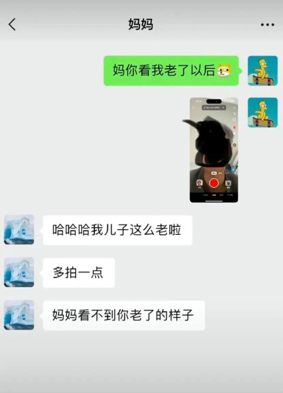 via 犯罪嫌疑人张某