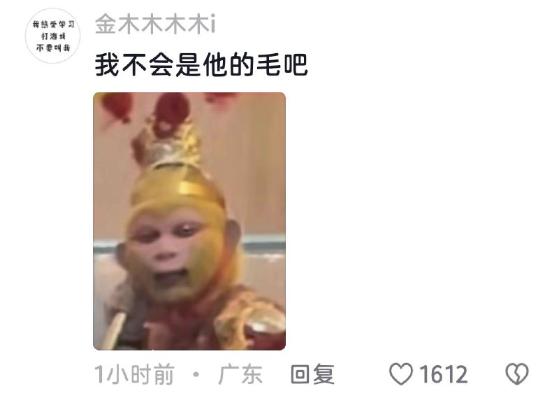 via AVAVA AVAvia AVAVA AVA
