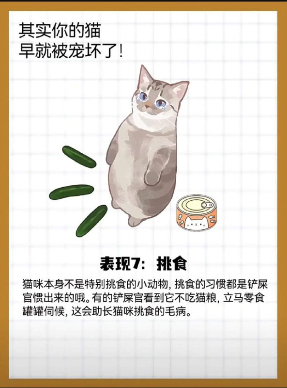 from 猫猫窝🐈🐈‍⬛from 猫猫窝🐈🐈‍⬛
