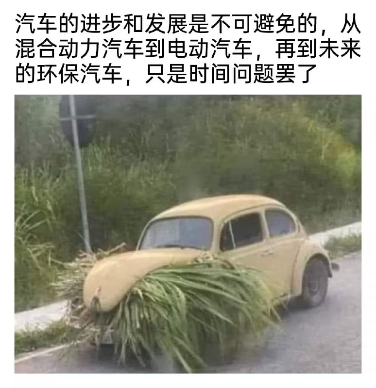 via 8号沙雕网友