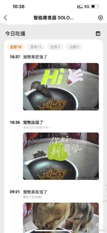 《宠物来吃饭了》from 平壤卫视