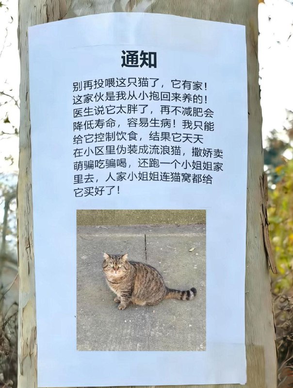 from 什麼都來點 via DECADE
