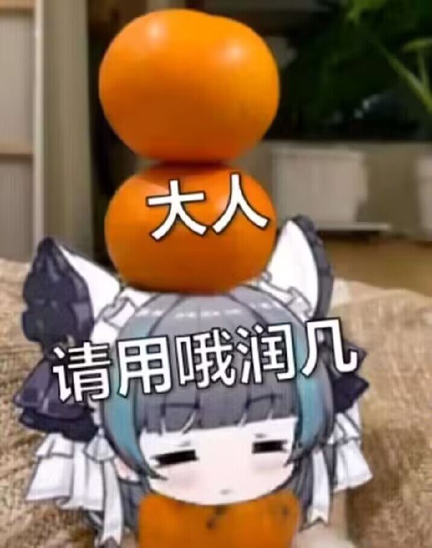from 猫猫窝🐱