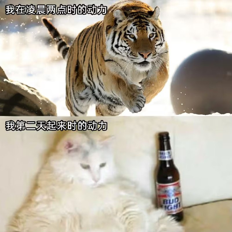 via 6号沙雕网友