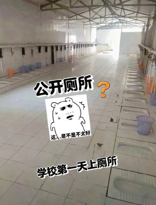 联鸡大厅via 6号沙雕网友