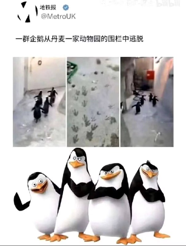 via 犯罪嫌疑人张某