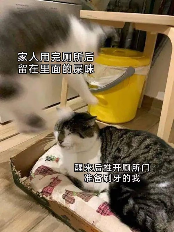 via 7号沙雕网友