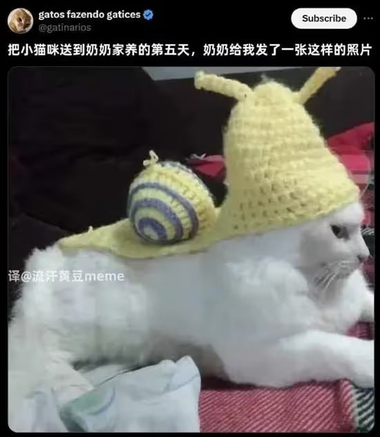 via 6号沙雕网友