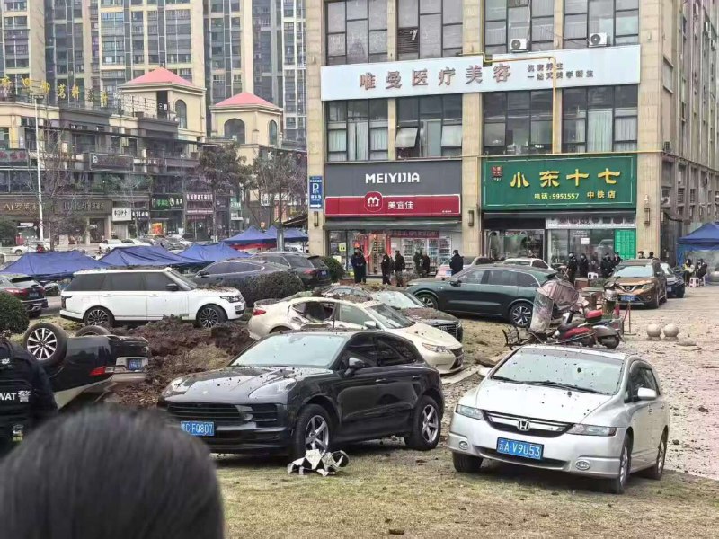 新年定番新年定番