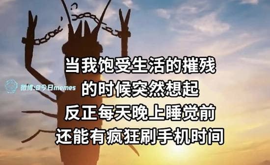 via 7号沙雕网友