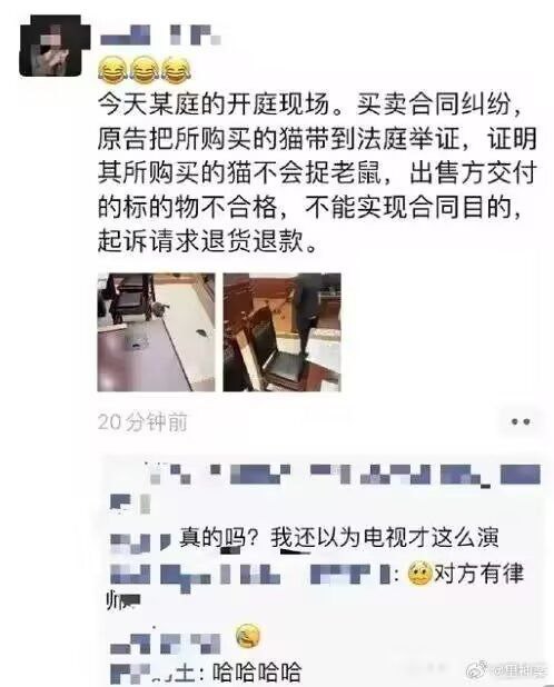 法庭现场验猫以确保公正审判 ​​​Fromfrom Garyの梦呓法庭现场验猫以确保公正审判 ​​​Fromfrom Garyの梦呓