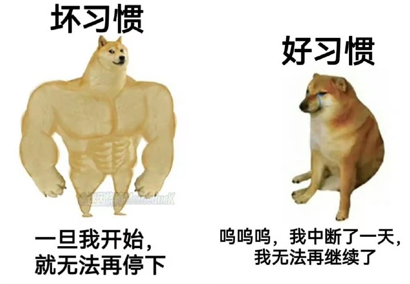 ASDZXC