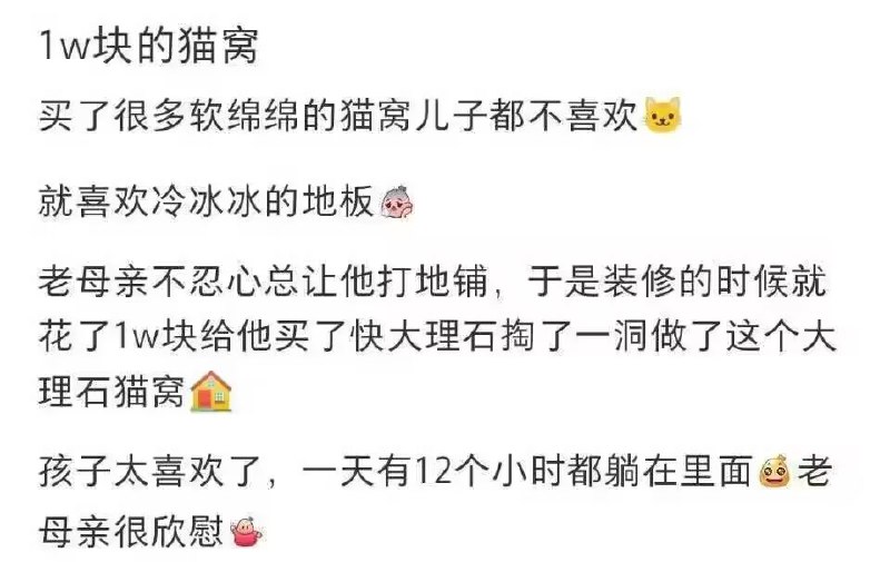 from 每日无数猫from 每日无数猫