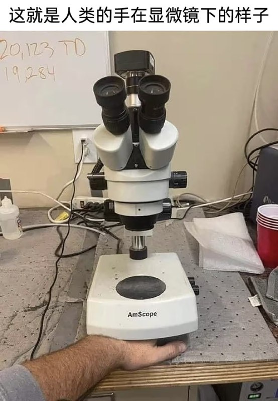 via 8号沙雕网友