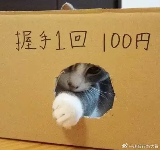 via 6号沙雕网友