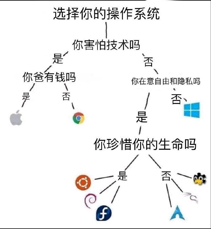 via 𝕏ue 𝕏ue 苏雪宁