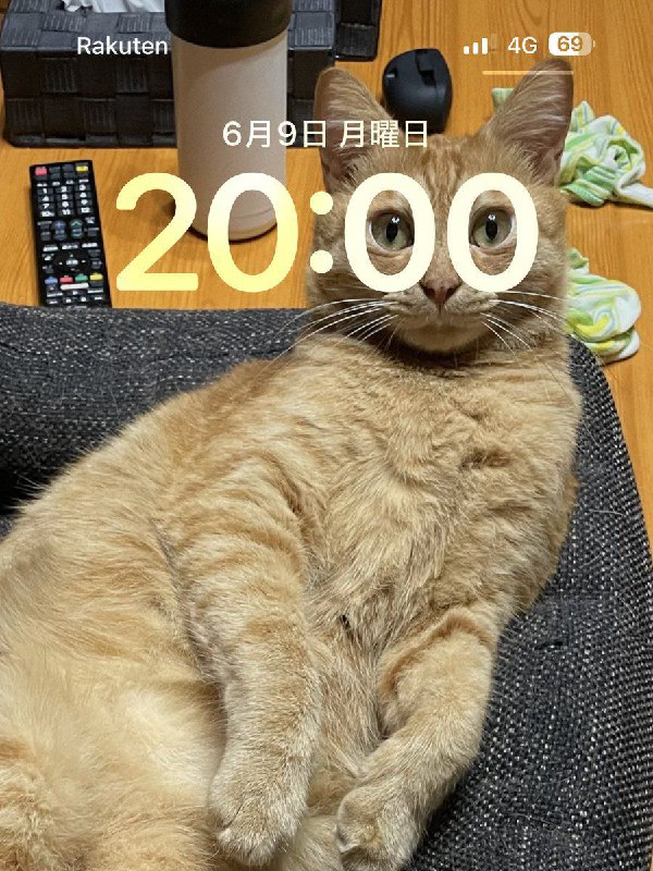 via Meng Xin