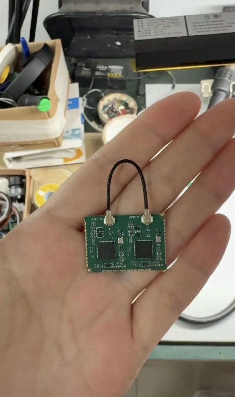 送你一个香奈儿