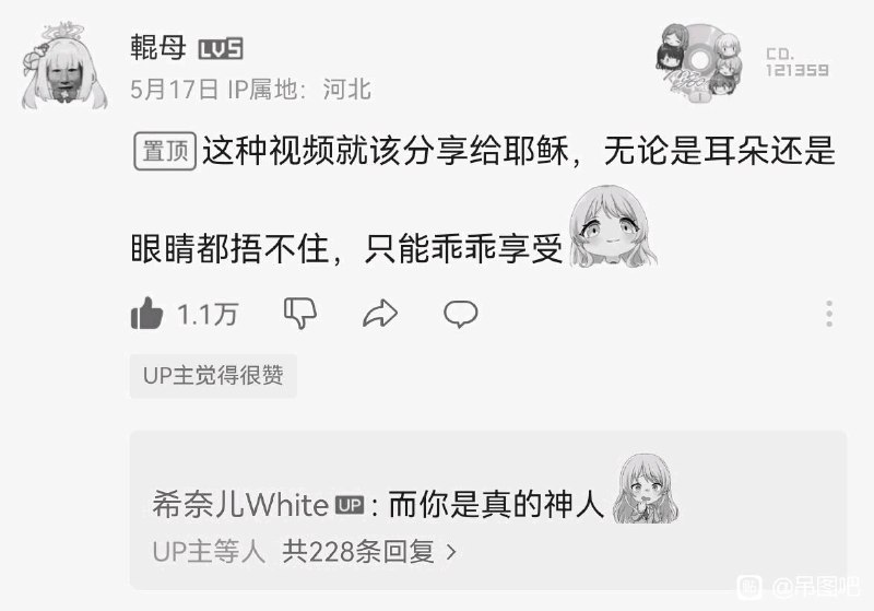 审核注