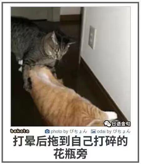 via 7号沙雕网友