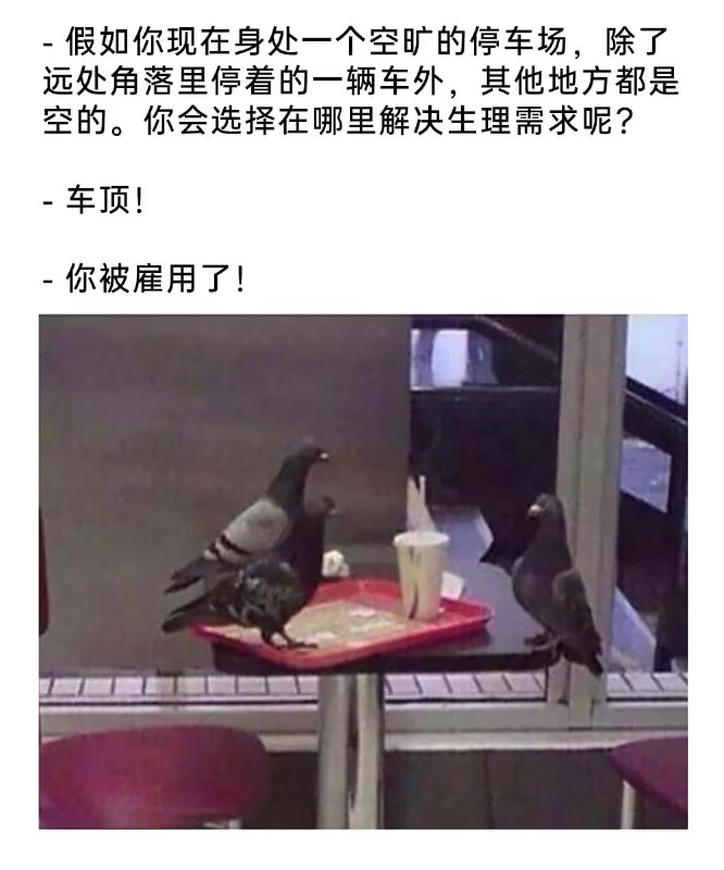 via 6号沙雕网友