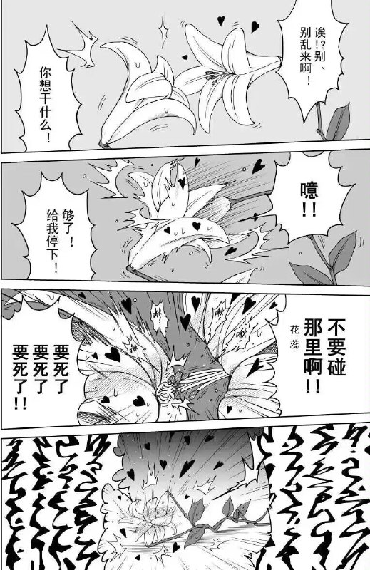 from 猫猫窝🐱