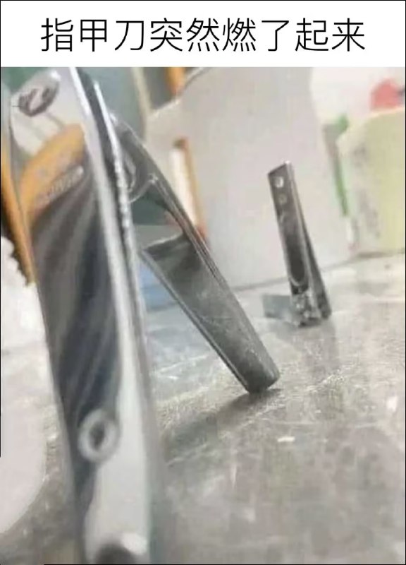 via 8号沙雕网友