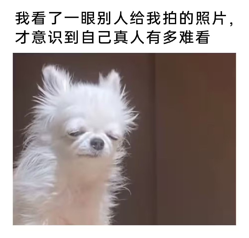 via 7号沙雕网友