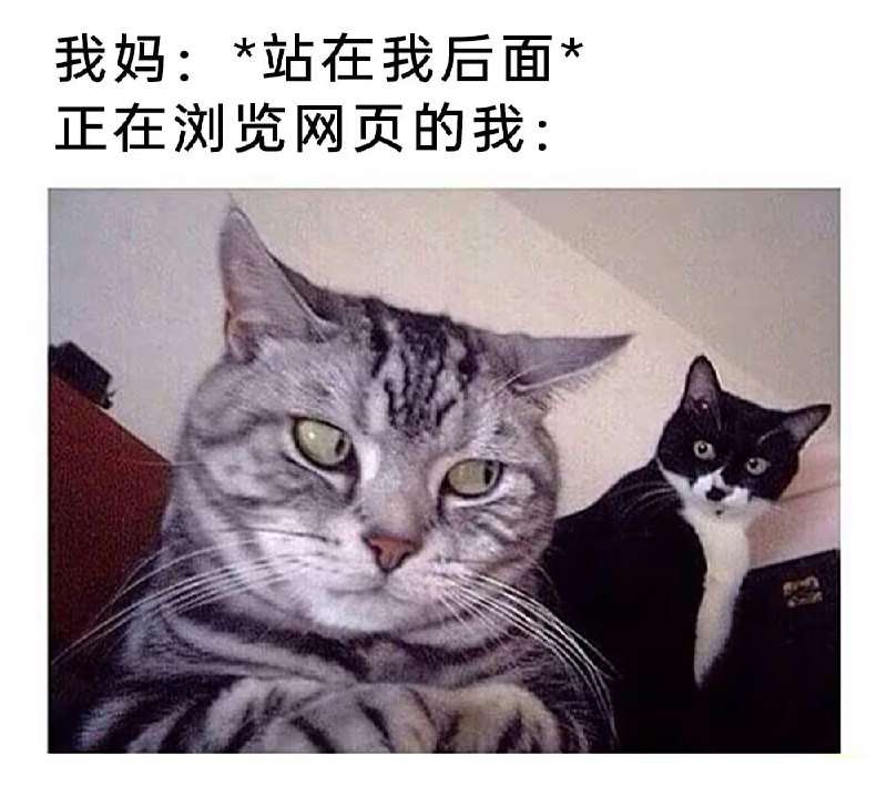via 7号沙雕网友