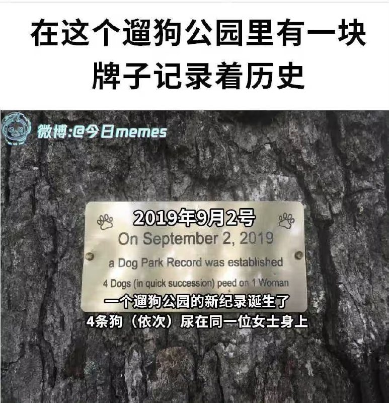 via 7号沙雕网友