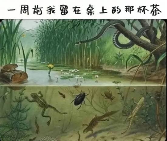 via 7号沙雕网友