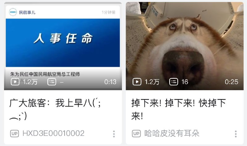via Bingxin Baka