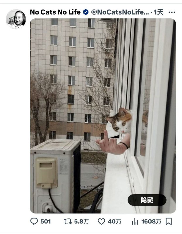 《暴力》from rvalue的生草日常 via DECADE《暴力》from rvalue的生草日常 via DECADE