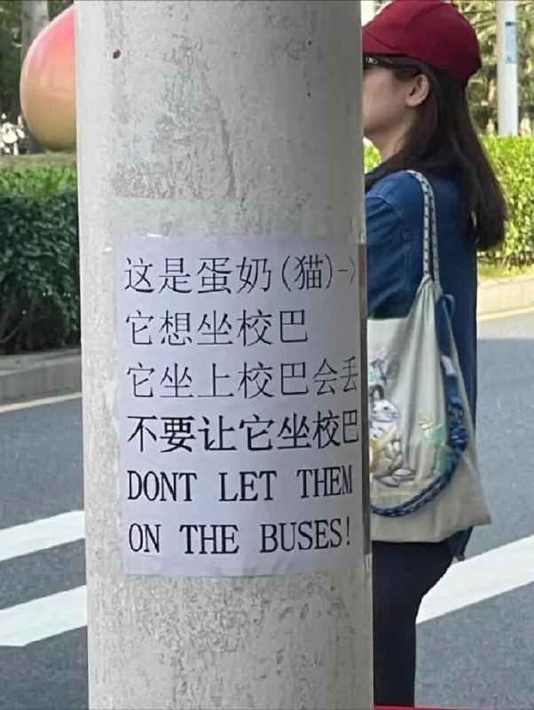 from 平壤卫视from 平壤卫视