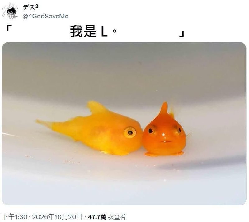 from 發點囧圖 via DECADE
