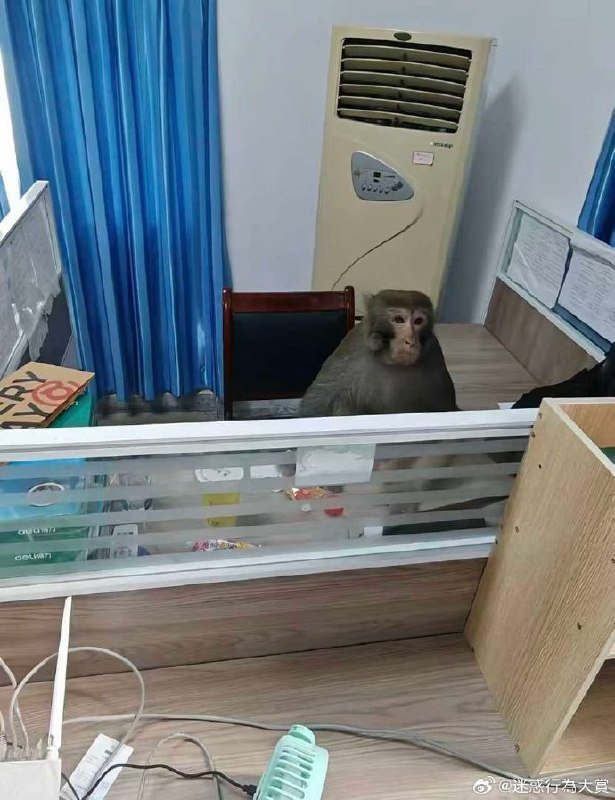 国庆加班吗喽🐒国庆加班吗喽🐒