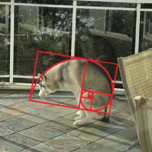 via 米 维