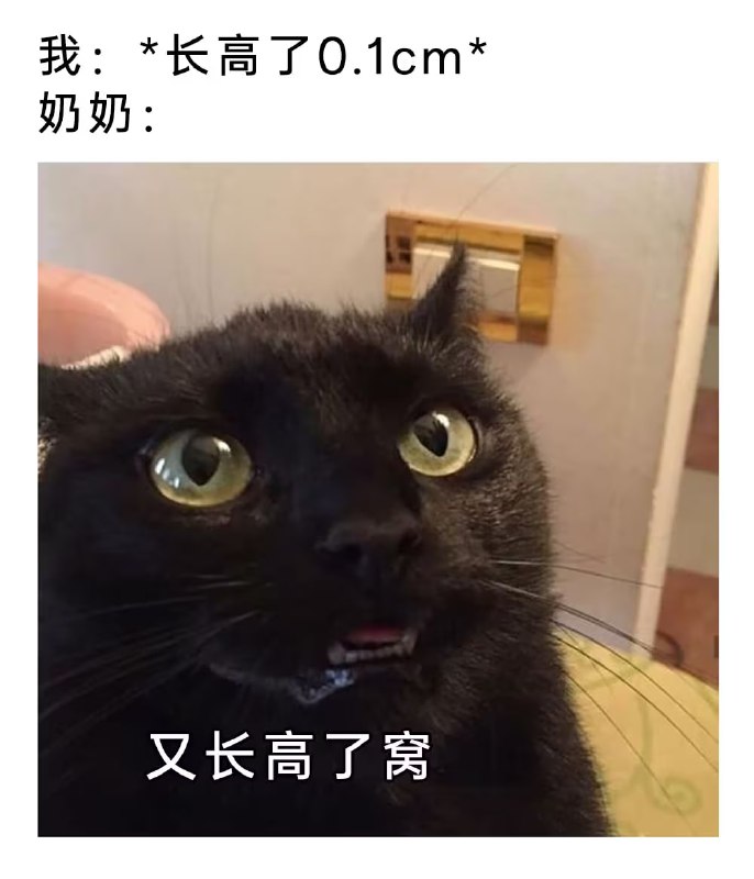 via 6号沙雕网友